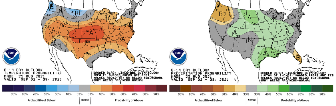 The 8&ndash;14 day outlook.